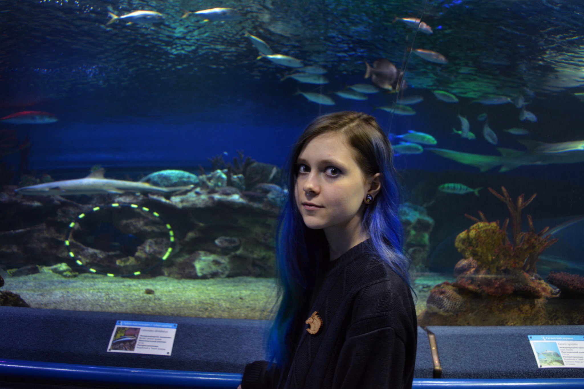 2д художник | WN Talents